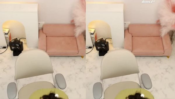 230519贝瑞 (2)