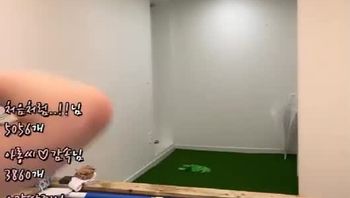230528兰 (2)