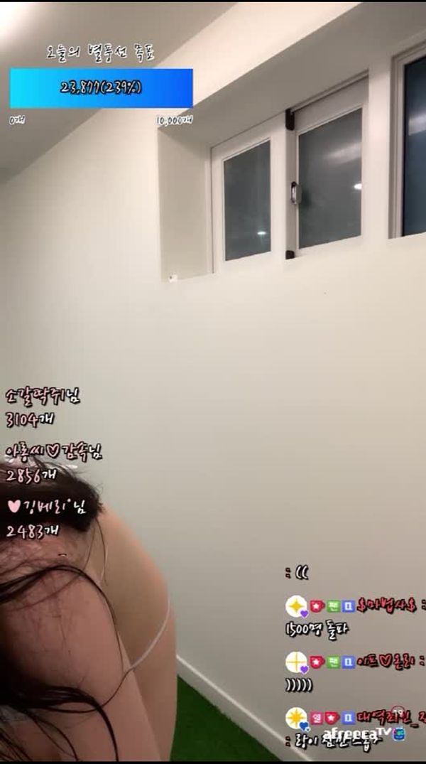 230528兰 (1)