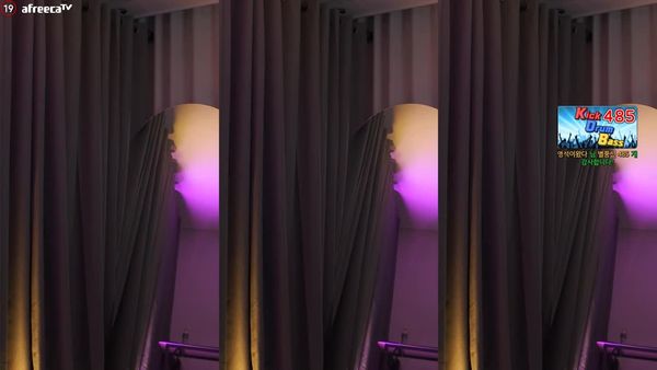 230726薄荷 (3)