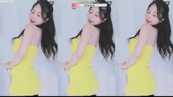 230808棉花 (1)