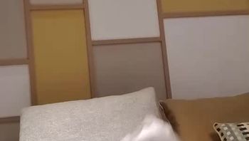 230908VIP-likecho