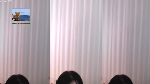 230919江陶 (4)