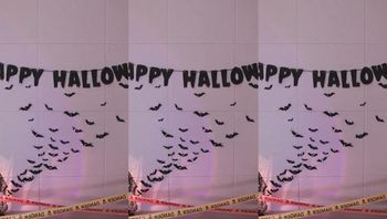 231030-leelate (5)