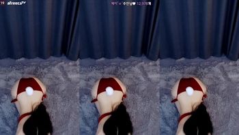 231129拉芃