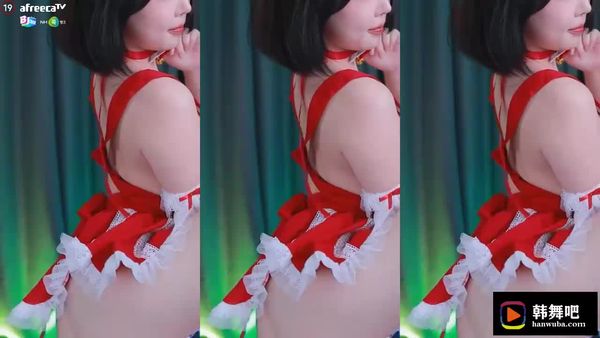 231224薄荷 (2)