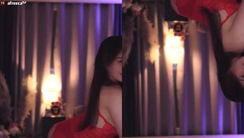 231224帕卡 (2)