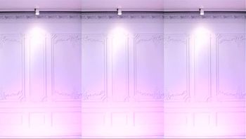 240104-muse62 (20)