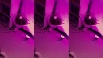 240130-uzzzs2
