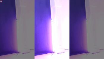 240219兰 (4)