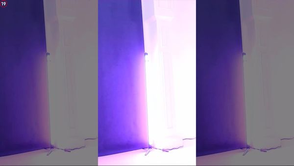 240219兰 (4)