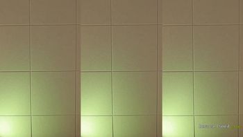 240227-leelate (10)