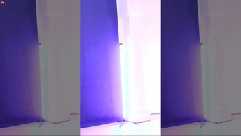 240226兰 (2)