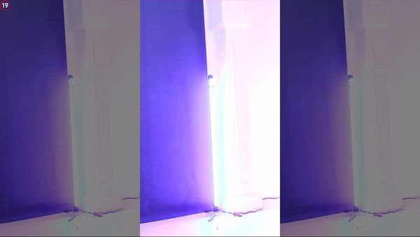240226兰 (2)