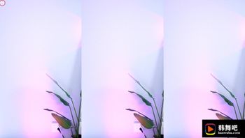 240525薄荷 (2)