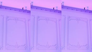 240822-muse62 (5)