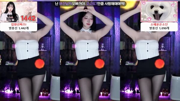 241008苏怡 (2)
