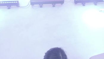 241102韩璐 (1)