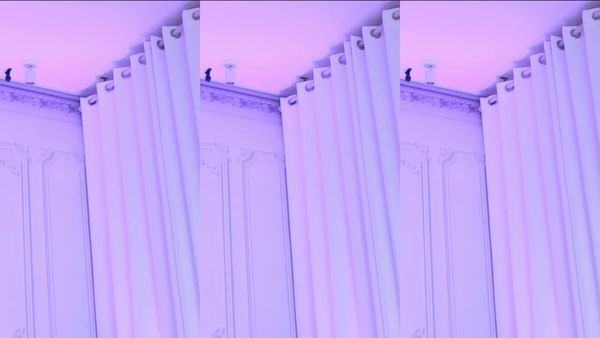 241031-muse62 (4)
