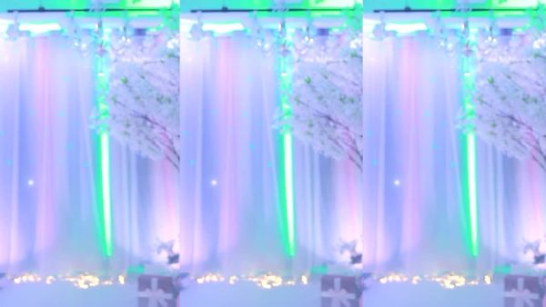 241130林朵萍 (7)