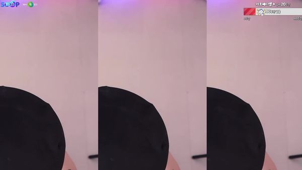 241220韩璐 (1)