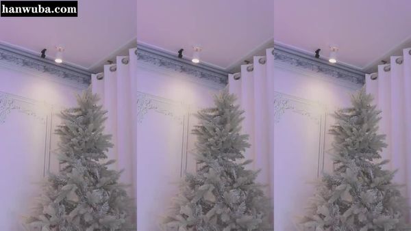 241228-muse62 (1)