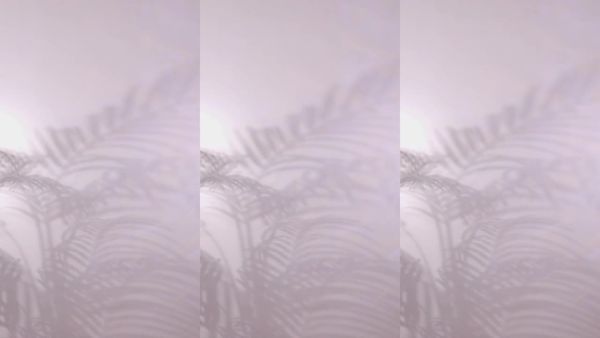 250203-leelate
