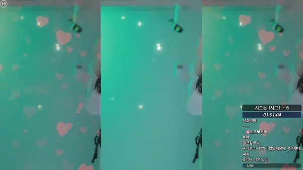 250508玫瑰