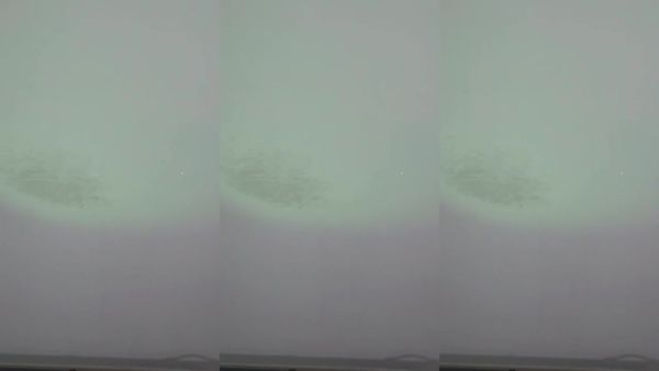 250721贝卡 (3)