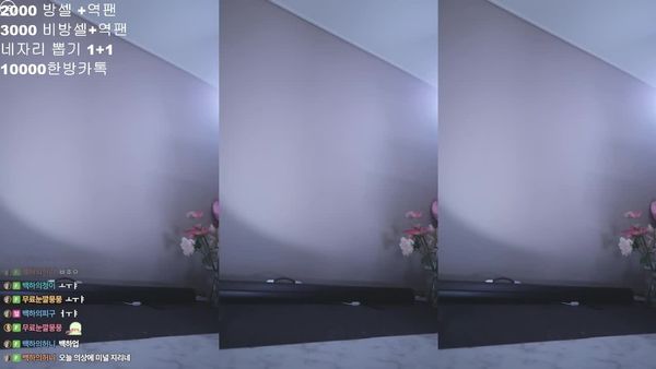 250901贝卡 (2)