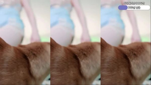 250903白嘉静 (5)