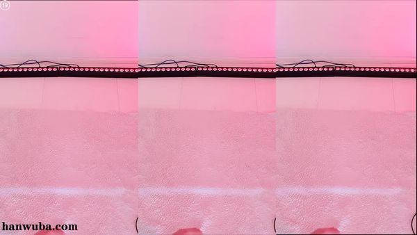250920-xjdhddl (2)