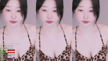 251105贝卡 (2)