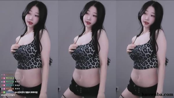 251231贝卡 (3)