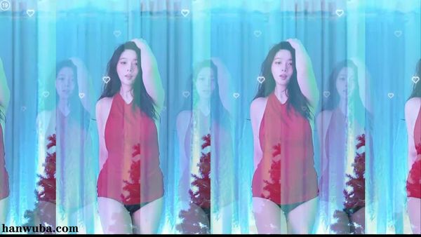 260104帕卡 (5)