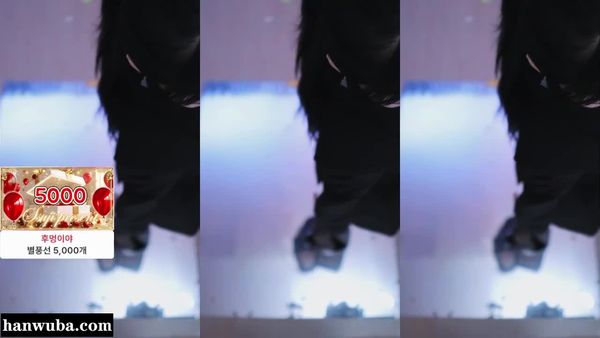 260104苏芷