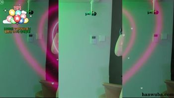 260202玫瑰