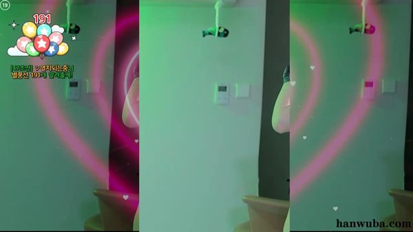 260202玫瑰