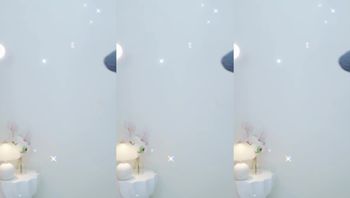 260208智妍