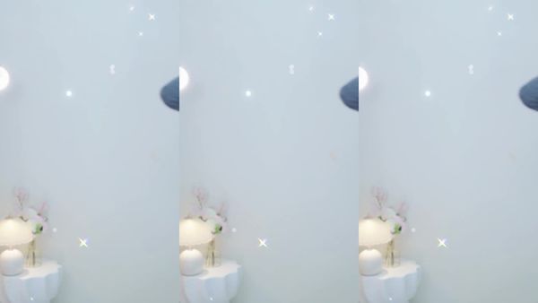 260208智妍