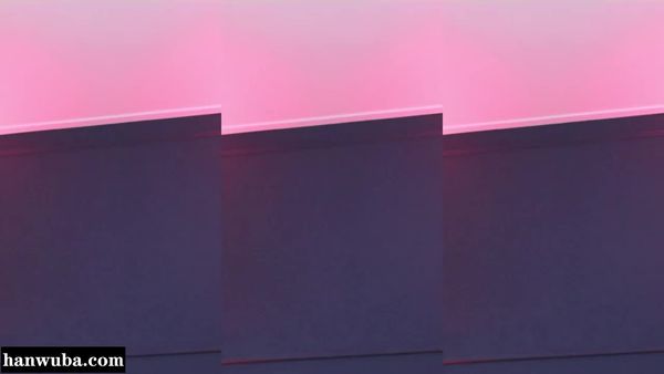 260226-muse62 (4)