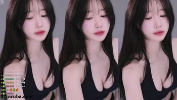 260314贝卡