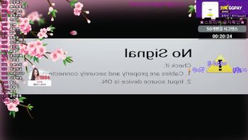 260403苏芷